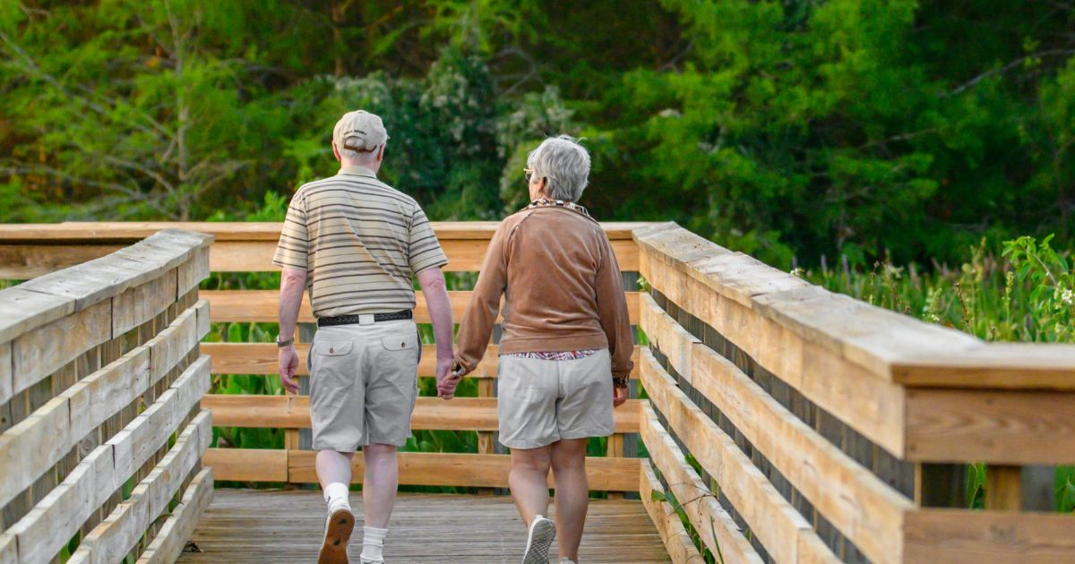 CPP vs OAS vs GIS A Simple Guide for Canadian Seniors